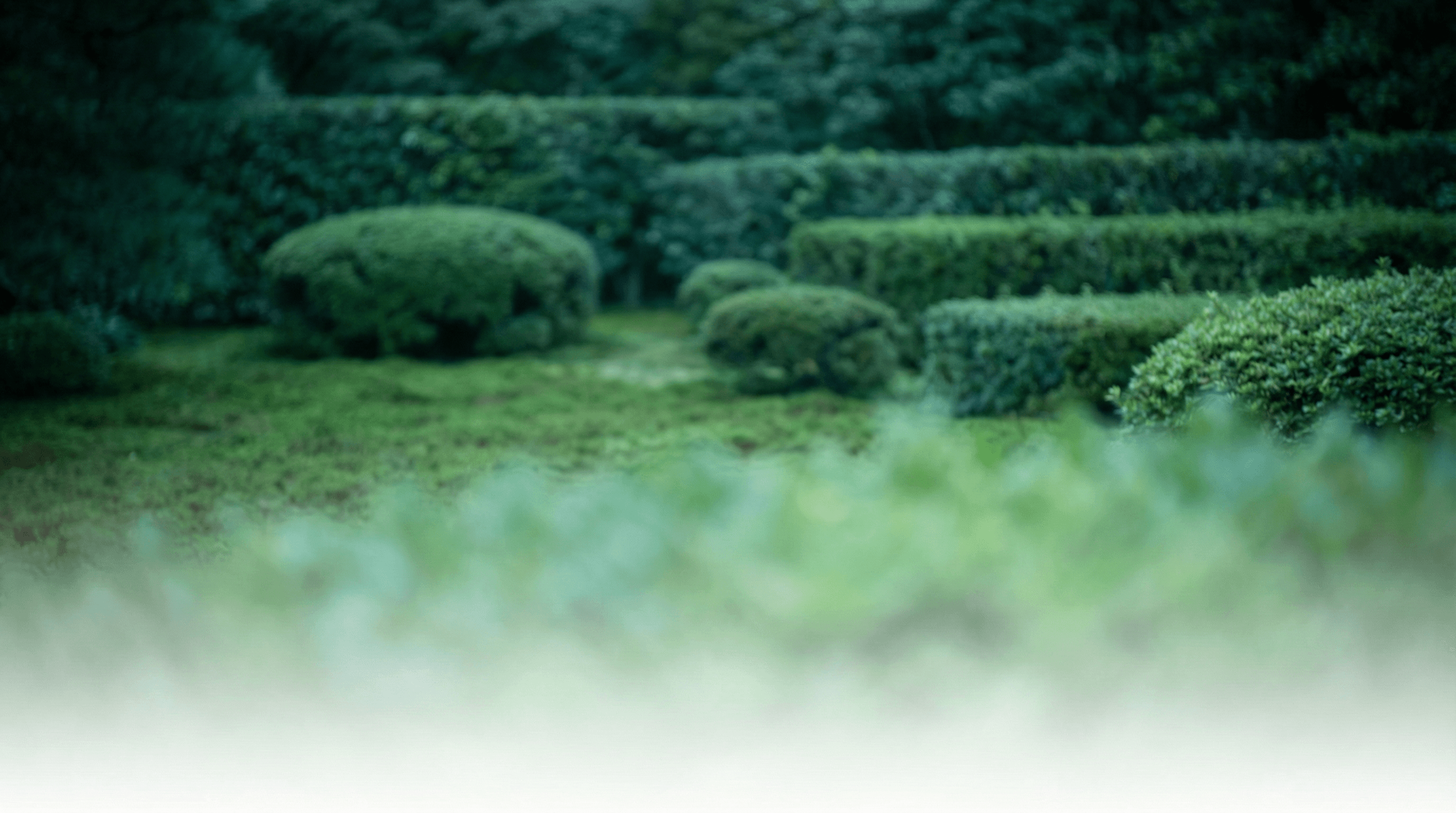 Mentorly AI Real-Time Video Avatar Platform - Create hyper-realistic AI face replications for Zoom and Google Meet video calls