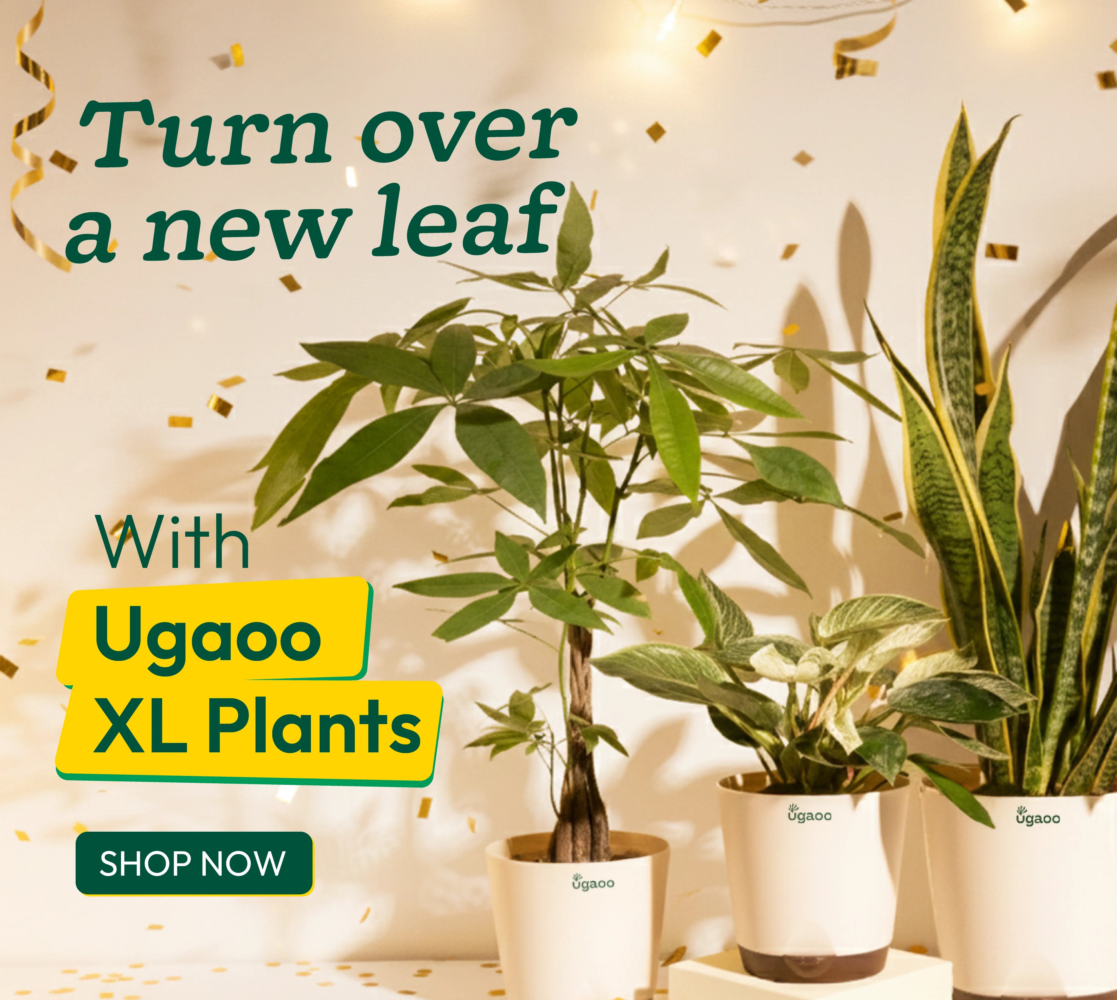 XL plants banner mobile