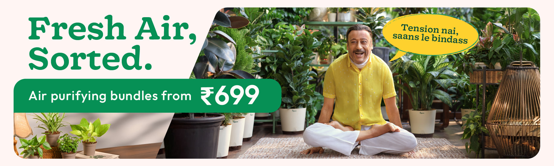 All plant bundles banner desktop