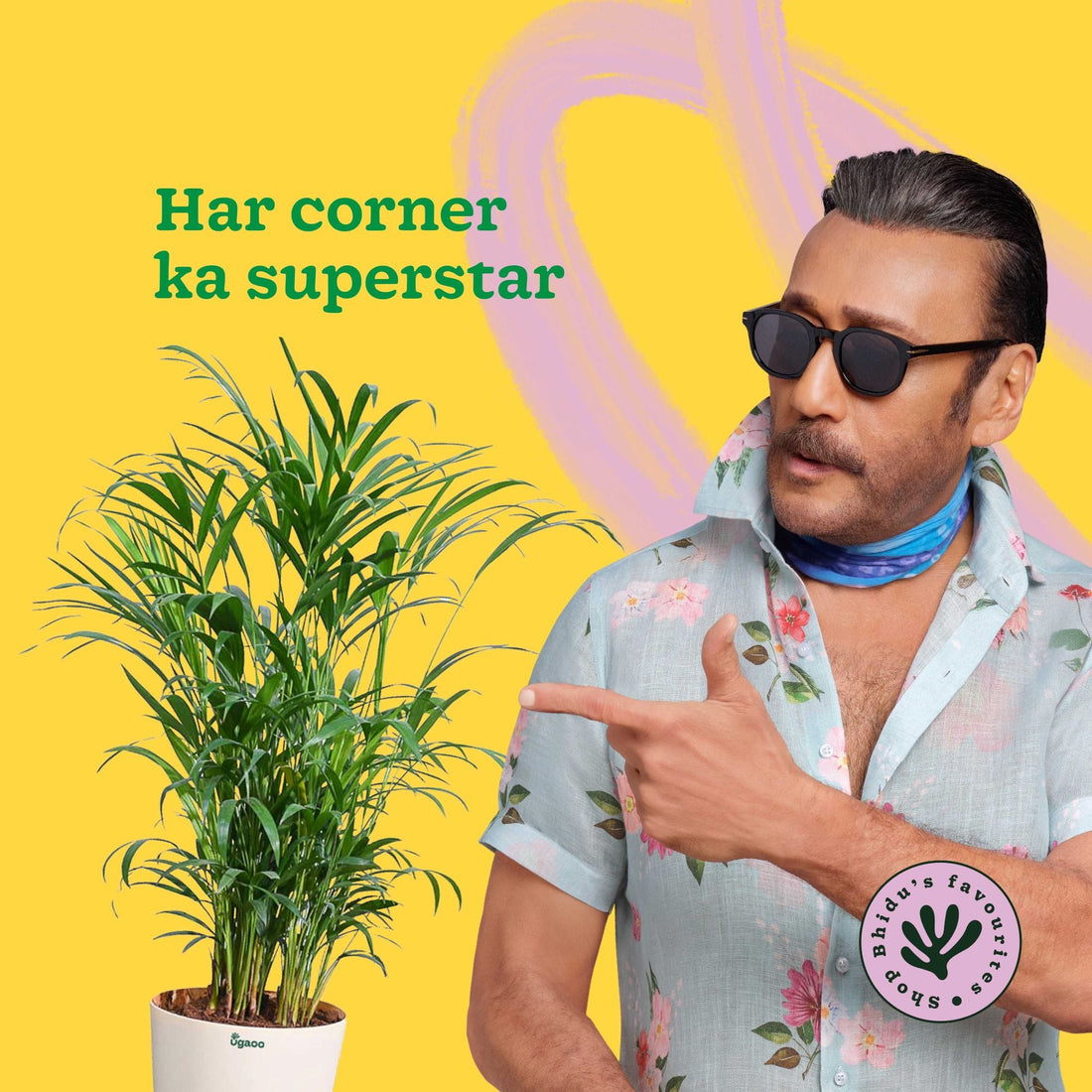 Areca Palm Plant XL alternate