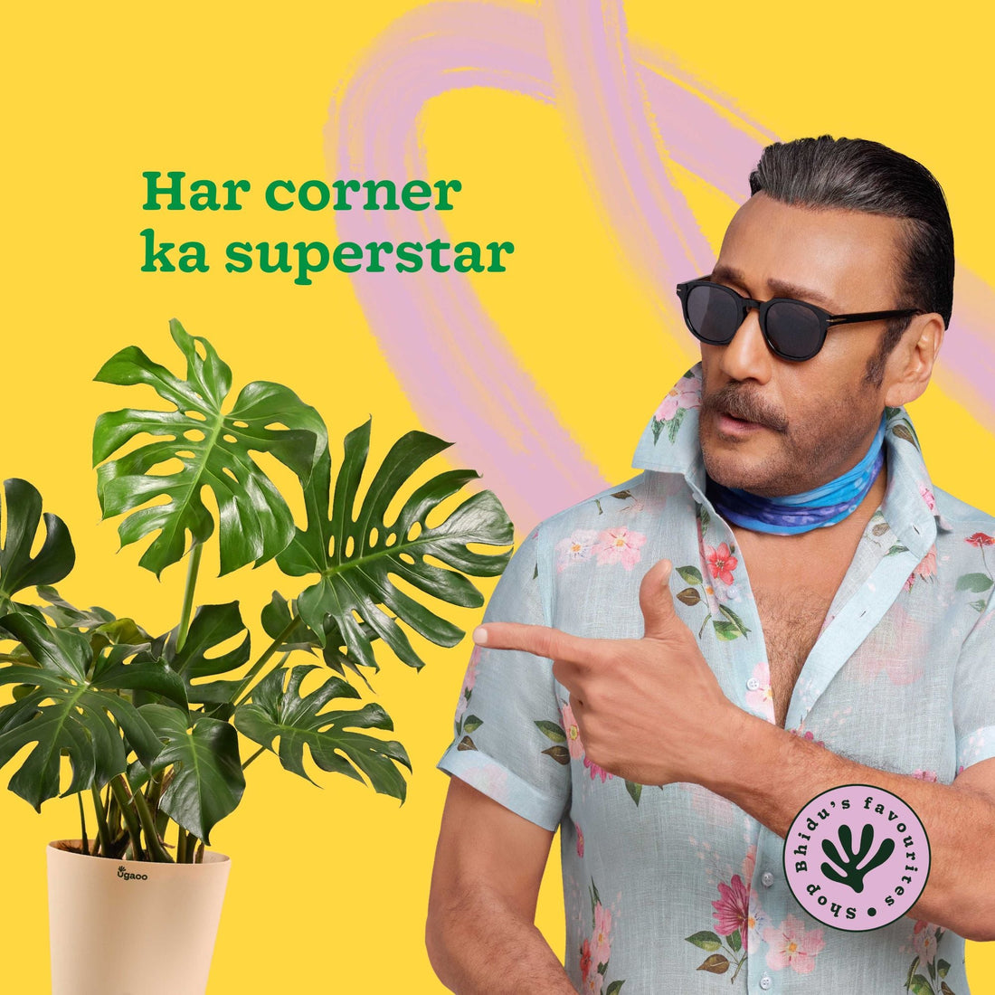 Monstera Deliciosa Plant alternate